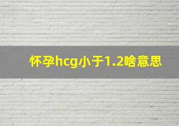 怀孕hcg小于1.2啥意思