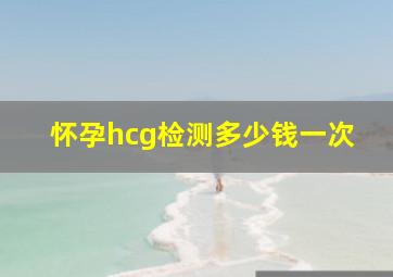 怀孕hcg检测多少钱一次