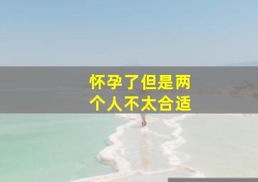 怀孕了但是两个人不太合适