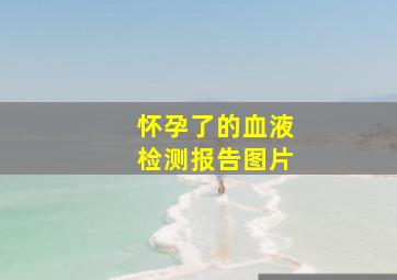 怀孕了的血液检测报告图片