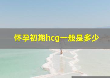 怀孕初期hcg一般是多少