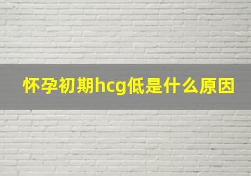 怀孕初期hcg低是什么原因