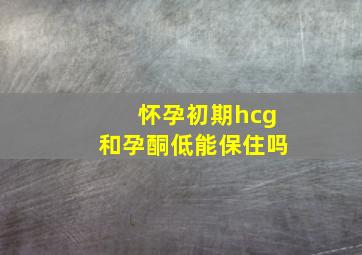 怀孕初期hcg和孕酮低能保住吗