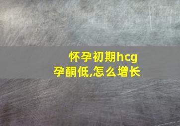 怀孕初期hcg孕酮低,怎么增长