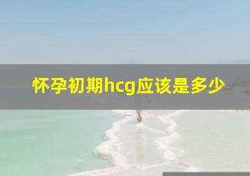 怀孕初期hcg应该是多少