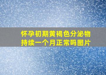 怀孕初期黄褐色分泌物持续一个月正常吗图片