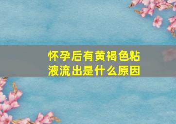 怀孕后有黄褐色粘液流出是什么原因