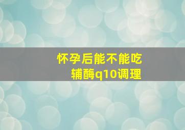 怀孕后能不能吃辅酶q10调理