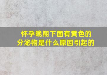 怀孕晚期下面有黄色的分泌物是什么原因引起的