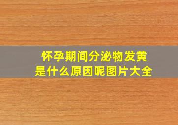 怀孕期间分泌物发黄是什么原因呢图片大全