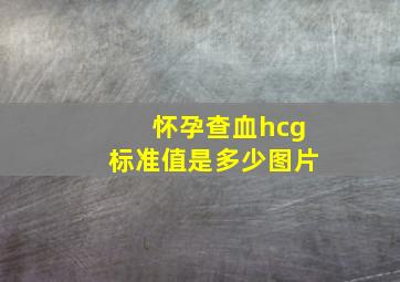 怀孕查血hcg标准值是多少图片