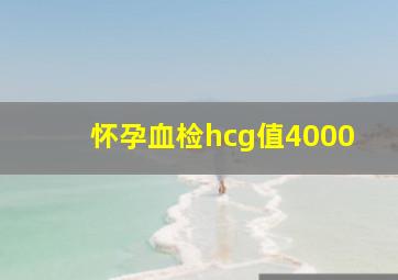 怀孕血检hcg值4000