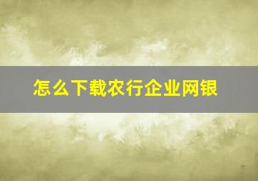 怎么下载农行企业网银