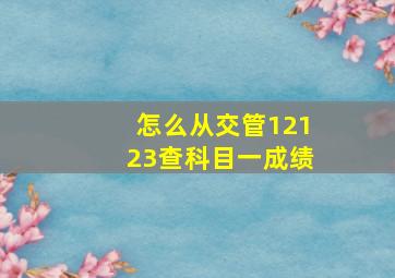 怎么从交管12123查科目一成绩