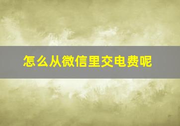 怎么从微信里交电费呢