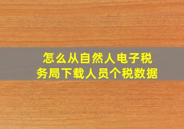 怎么从自然人电子税务局下载人员个税数据