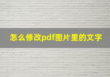 怎么修改pdf图片里的文字