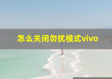 怎么关闭勿扰模式vivo