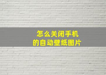 怎么关闭手机的自动壁纸图片