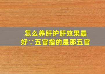 怎么养肝护肝效果最好∵五官指的是那五官