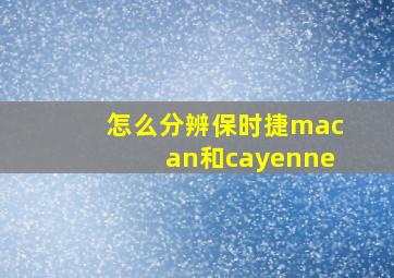 怎么分辨保时捷macan和cayenne