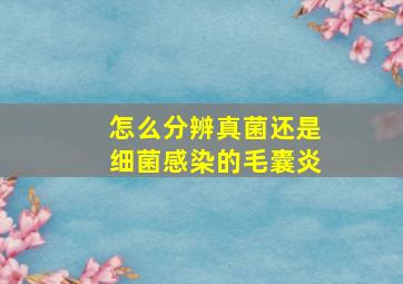 怎么分辨真菌还是细菌感染的毛囊炎