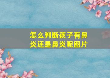 怎么判断孩子有鼻炎还是鼻炎呢图片