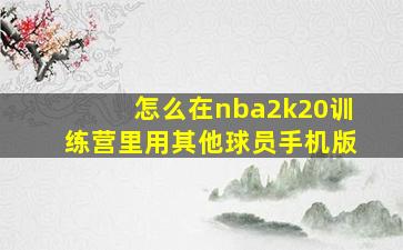 怎么在nba2k20训练营里用其他球员手机版