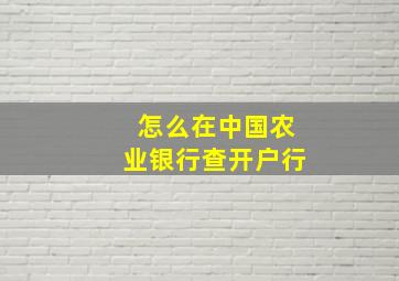 怎么在中国农业银行查开户行