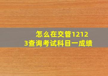 怎么在交管12123查询考试科目一成绩