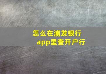 怎么在浦发银行app里查开户行