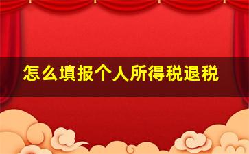 怎么填报个人所得税退税