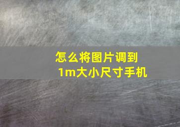 怎么将图片调到1m大小尺寸手机