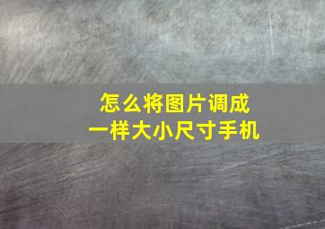 怎么将图片调成一样大小尺寸手机