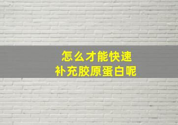 怎么才能快速补充胶原蛋白呢