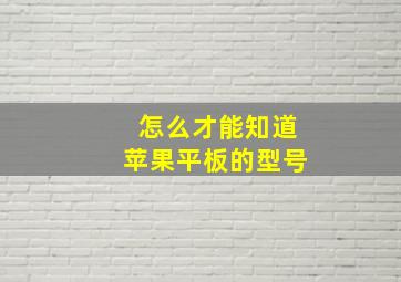 怎么才能知道苹果平板的型号