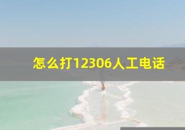 怎么打12306人工电话