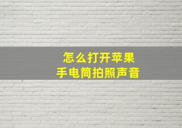 怎么打开苹果手电筒拍照声音