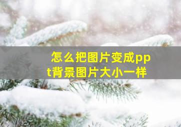 怎么把图片变成ppt背景图片大小一样