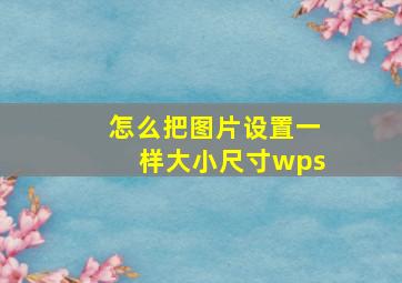 怎么把图片设置一样大小尺寸wps