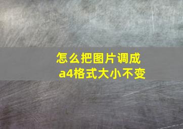 怎么把图片调成a4格式大小不变