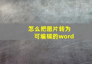 怎么把图片转为可编辑的word