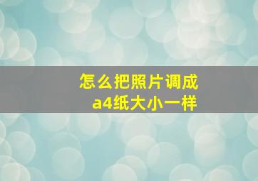 怎么把照片调成a4纸大小一样