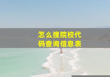 怎么搜院校代码查询信息表