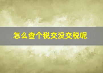 怎么查个税交没交税呢