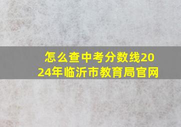 怎么查中考分数线2024年临沂市教育局官网