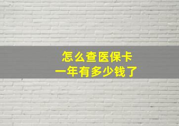 怎么查医保卡一年有多少钱了