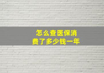 怎么查医保消费了多少钱一年