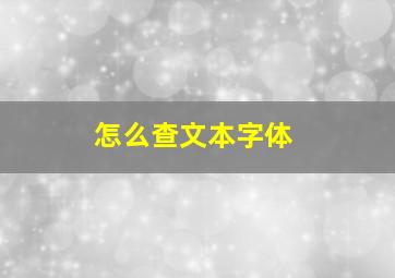 怎么查文本字体