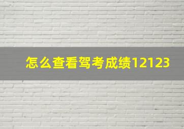 怎么查看驾考成绩12123